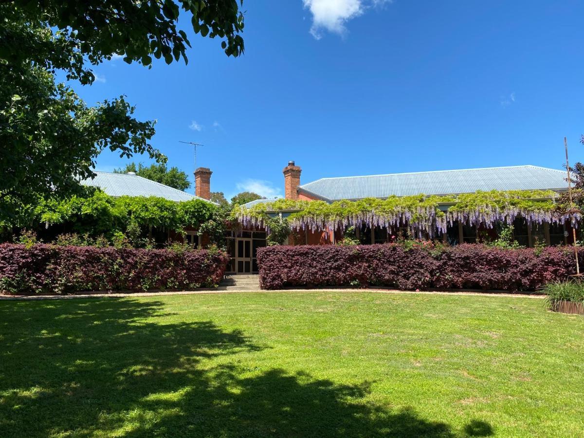 Twelve on Albert Beechworth Exterior foto